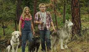 Timber - Lovec pokladů