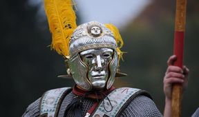 Warriors (8/11)