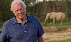 David Attenborough: Slon jménem Jumbo