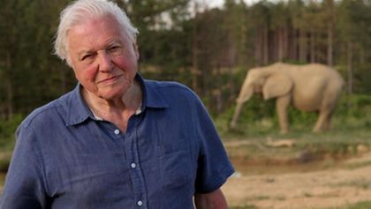 David Attenborough: Slon jménem Jumbo