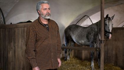 Zdivočelá země (45/45)