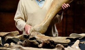 Attenborough a pohřebiště mamutů