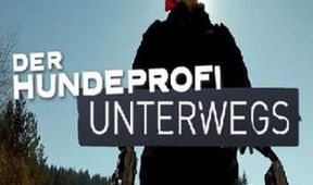 Der Hundeprofi unterwegs