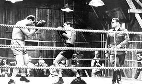 Boxer a smrť