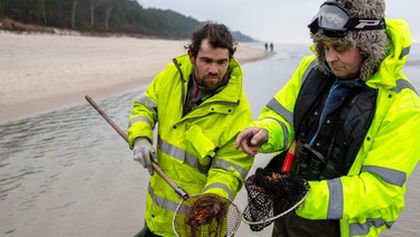 The Hunt For Baltic Gold (2)