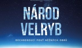 Národ velryb