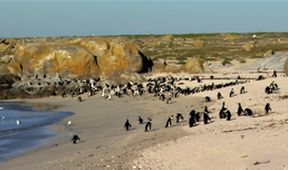 Smrtící africká říše (5)