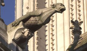 Katedrála Notre Dame a její stavitelé