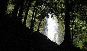 Na cestě po Tahiti