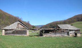 Návraty k divočině (7)