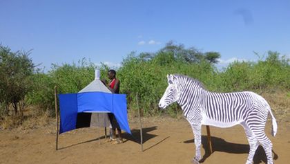 Království divočiny: Zebry, Afrika