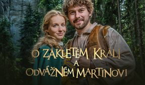 O zakletém králi a odvážném Martinovi