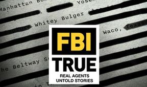 FBI - Agenti řeší případy (3)