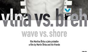 Vlna vs. breh