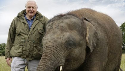 David Attenborough a legendární obří slon Jumbo