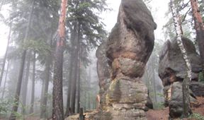 Divočina bez hranic (4)