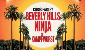 Tlusťoch z Beverly Hills