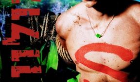 Smallville IX (3/21)