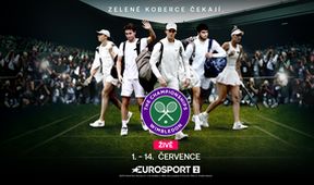 Tenis