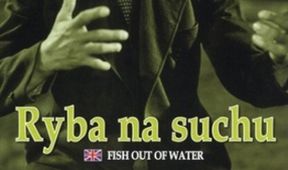 Ryba na suchu