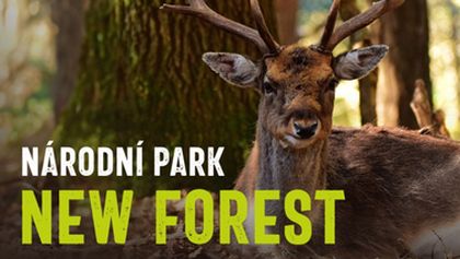 Národní park New Forest