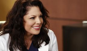 Grey's Anatomy XVI (6)