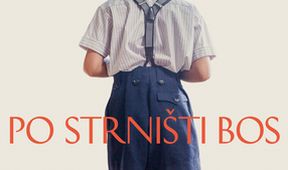 Po strnisku bosý