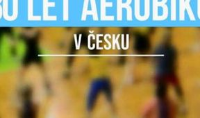 30 let sportovního aerobiku v ČR, Estetické sporty