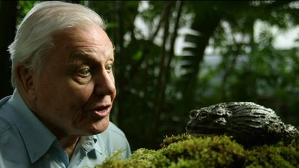 David Attenborough: Úžasné žáby