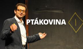 Ptákovina