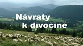 Návraty k divočině