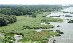 Delta Odry - divočina bez hranic