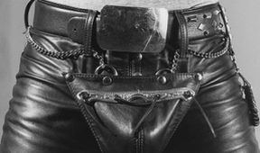 Mapplethorpe, Kino Art
