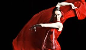 Flamenco, můj život