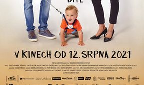 Deníček moderního fotra