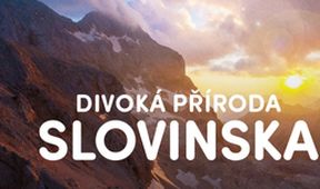 Divoká příroda Slovinska