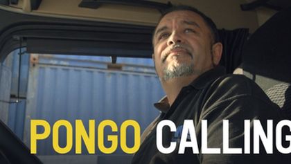 Pongo Calling