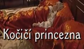 Kočičí princezna
