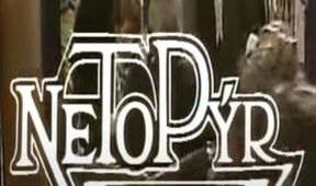Netopýr