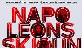 Operácia Napoleon