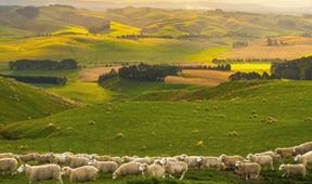 Divoký Nový Zéland: Ztracený ráj