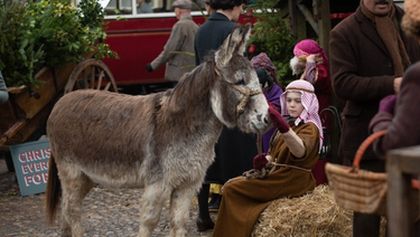 Všechny velké a malé bytosti IV (7)