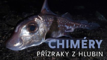 Chiméry - přízraky z hlubin, Kamera na cestách