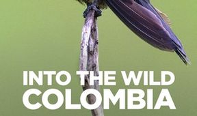Krásy divoké Kolumbie (5)