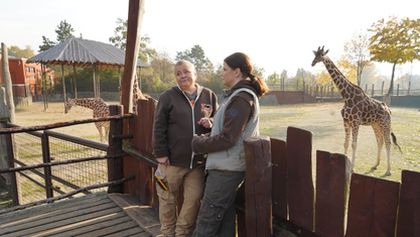ZOO (105)