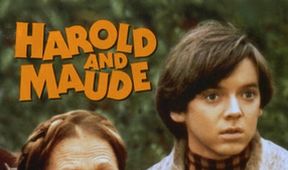 Harold a Maude, Kino Art