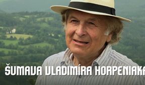 Šumava Vladimíra Horpeniaka