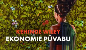 Kehinde Wiley: ekonomie půvabu