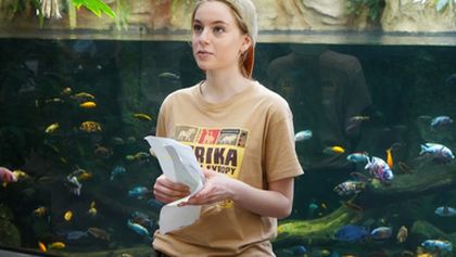 ZOO (84)