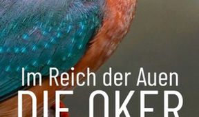 Vážky na řece Oker